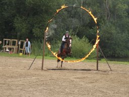 IMG_1669_web